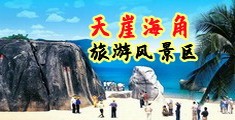 日本女人淫荡艹jiji网站在线观看海南三亚-天崖海角旅游风景区