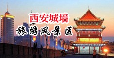 爱草B操逼片中国陕西-西安城墙旅游风景区