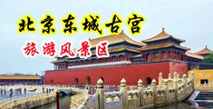 有大鸡巴的我看的黄色网站中国北京-东城古宫旅游风景区